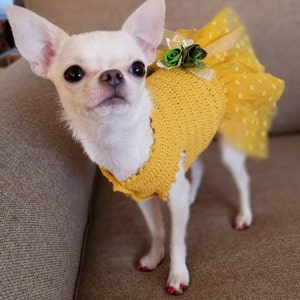 Dog dress tutu /clothes female (yellow)