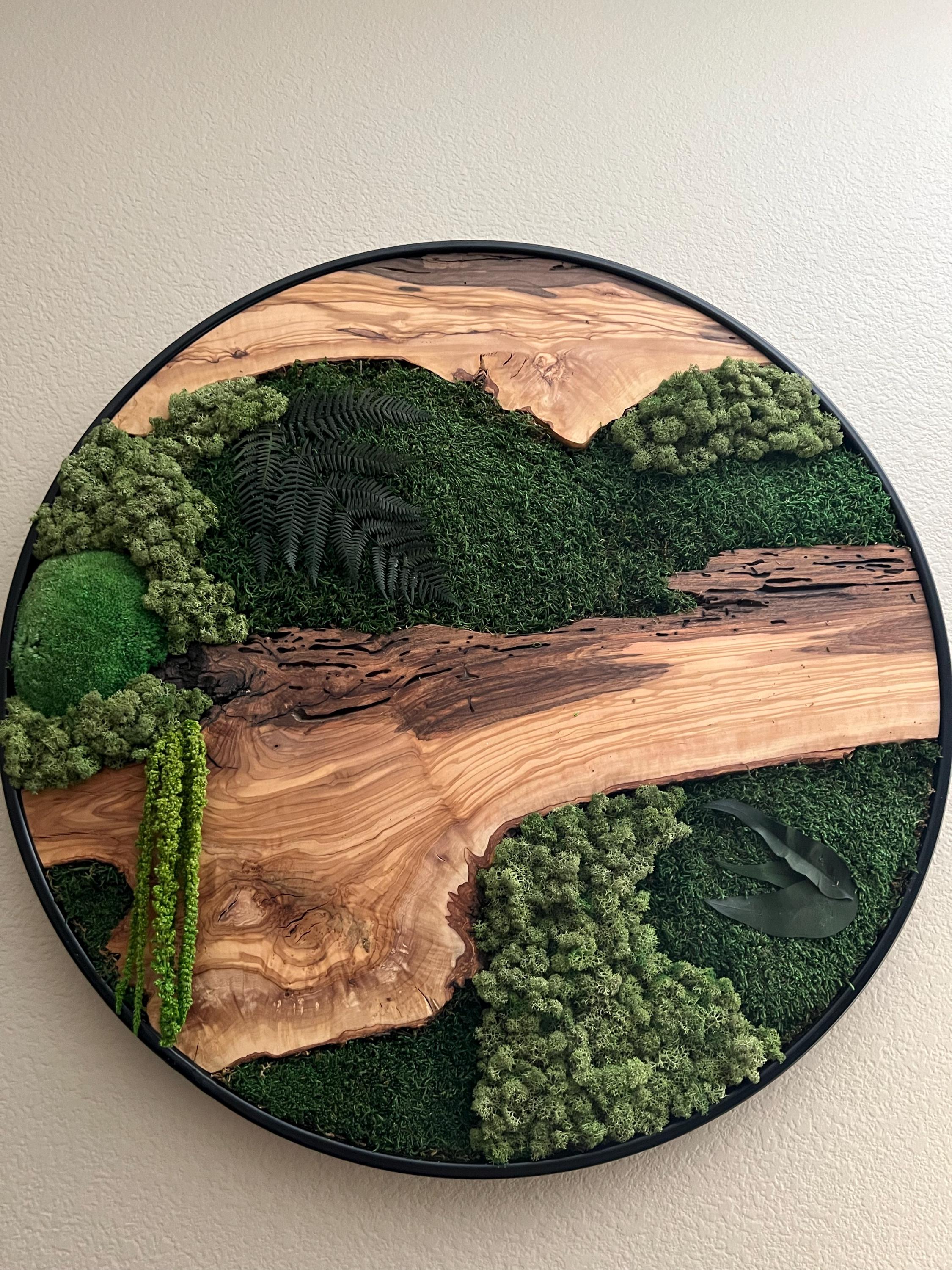 Custom Made Moss and Olive Wood Wall Art, Metal Frame Moss Wall Decor, Olive Wood and Moss Wall Art- Preserved Stabilized Moss Wall Decor