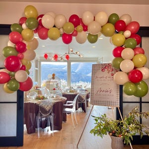 Apple Theme Biodegradable Balloons / Apple Birthday Party, Apple
