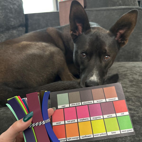 Biothane Color Sample Pack - Etsy