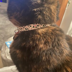 Lucy added a photo of their purchase