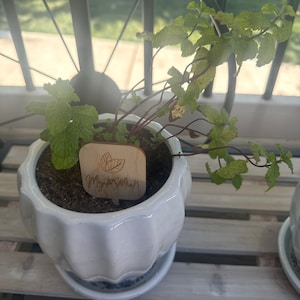 McKenzie added a photo of their purchase