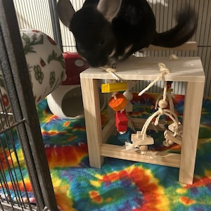 Hannah added a photo of their purchase