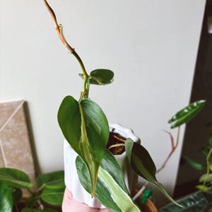 April added a photo of their purchase