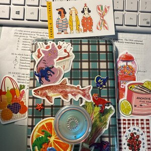 Katie さんが購入した商品の写真を追加しました