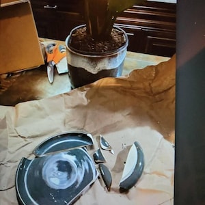 Evy added a photo of their purchase