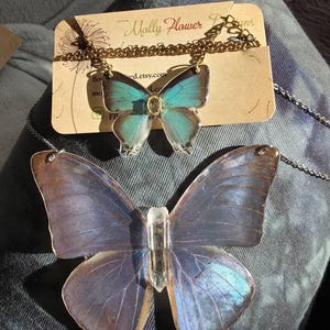 Daniela added a photo of their purchase