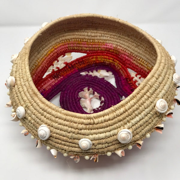 Murex Endivia Center Cut Sliced Shells 2