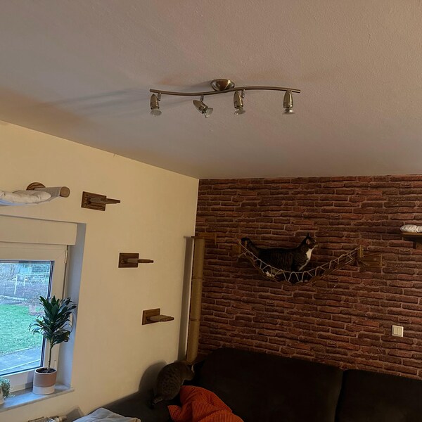 Picture of Cat Wall Set, Cat Wall Mount, Cat Wall Furniture, Cat Climbing Wall ...