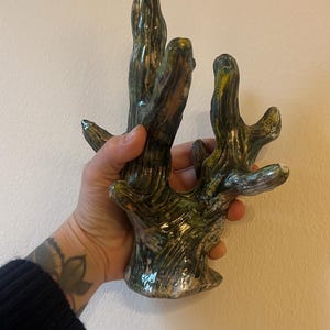 Inactive account added a photo of their purchase