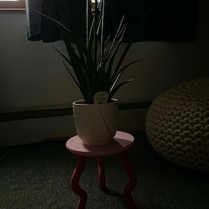 Evania ha añadido una foto de su compra