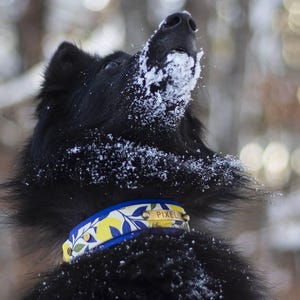 INKDOG added a photo of their purchase