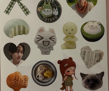 Jungwon Sticker Sheet- Enhypen Stickers, Kawaii, Kpop Bias, Journaling, Deco Stickers, Kpop Gift, Jungwon Bias, Lil Green Guy, Engene Gift