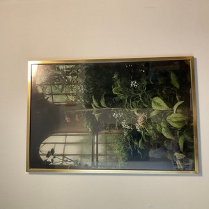 Gina added a photo of their purchase