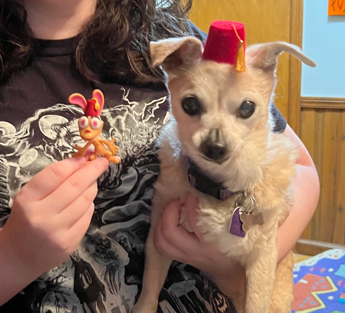 Customer photo of a pet with the Fez Hat mini small pet Cat Dog Hedgehog Vogue