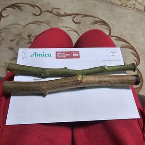 Faye added a photo of their purchase