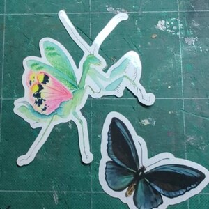 Luc-Étienne ha añadido una foto de su compra