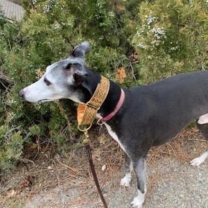 Patricia added a photo of their purchase