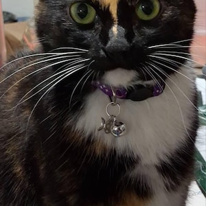 Dixie ha añadido una foto de su compra