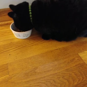 Andrea added a photo of their purchase