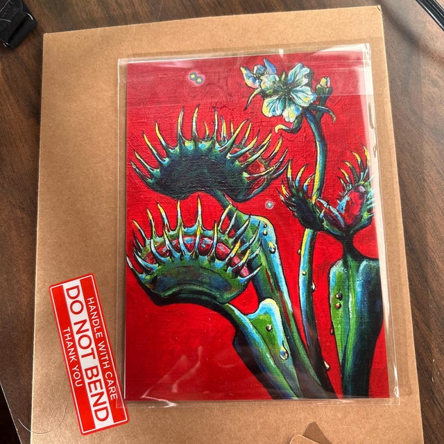 Venus Fly Trap - 5