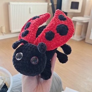 Anders added a photo of their purchase