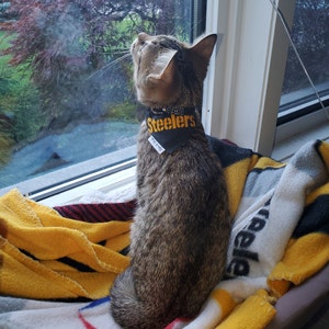 Tami added a photo of their purchase