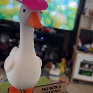 Shannon added a photo of their purchase