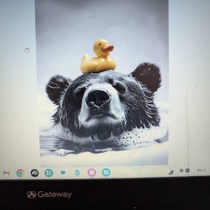 Nancy heeft een foto van de aankoop toegevoegd