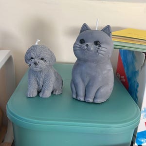 Terri added a photo of their purchase