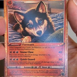 Lexi ha añadido una foto de su compra