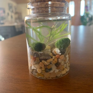 Therese added a photo of their purchase