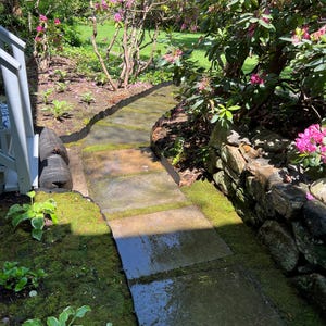 Molly added a photo of their purchase