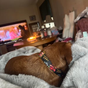 Julie ha añadido una foto de su compra
