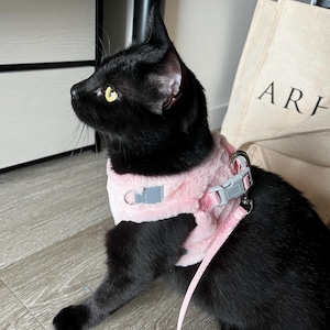 Ying added a photo of their purchase