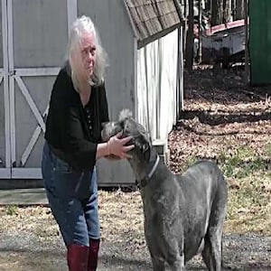 Jeri added a photo of their purchase