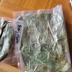 D'Andra さんが購入した商品の写真を追加しました