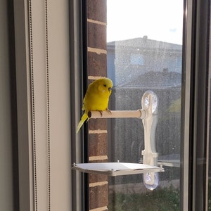 I made this suction cup window perch today with a bonus poop-catching shelf  underneath :) : r/parrots