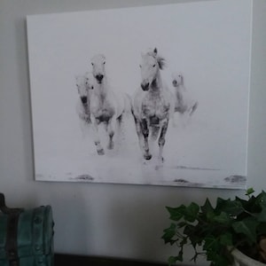Debi added a photo of their purchase
