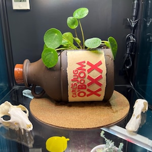 Sara added a photo of their purchase