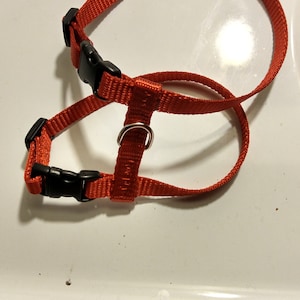 Cinnamint added a photo of their purchase