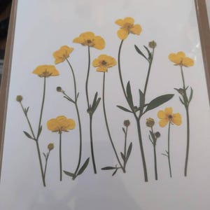 Tracey added a photo of their purchase