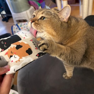 Trista added a photo of their purchase