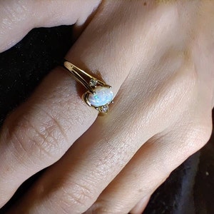 Whitney added a photo of their purchase