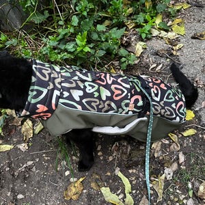 Marie-Francoise added a photo of their purchase