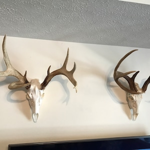 Jack added a photo of their purchase