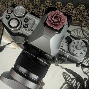 Kaitryn added a photo of their purchase