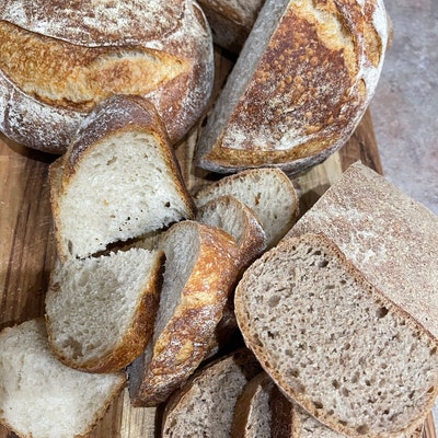 Gluten Free Sourdough Starter Maintained With GF King Arthur - Etsy