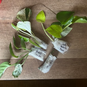 Elliott ha añadido una foto de su compra