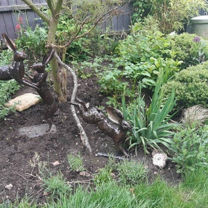 Diane added a photo of their purchase